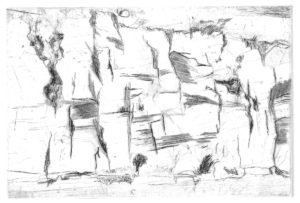 Chassezac 3, pointe sèche, 2019