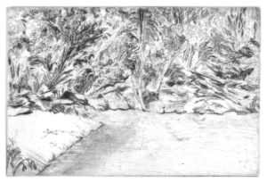 Mas Hern, pointe sèche, 2019