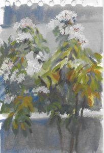 Arbuste aux fleurs blanches, gouache, avril 2020