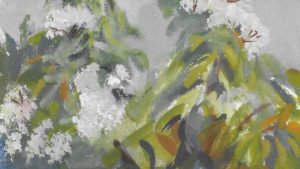 P_CONFIN_1_FLEURS_BLANC_RC