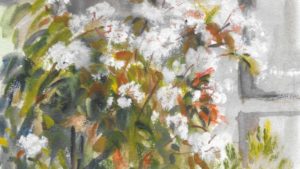 cropped-P_CONFIN_3_FLEURS_BLANC_17x12.jpeg