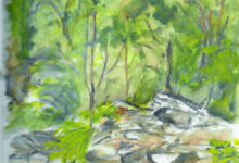 Vacances dans les Cévennes